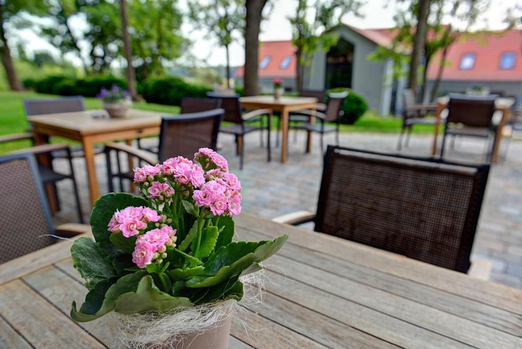 Arthotel Kiebitzberg Havelberg Eksteriør bilde